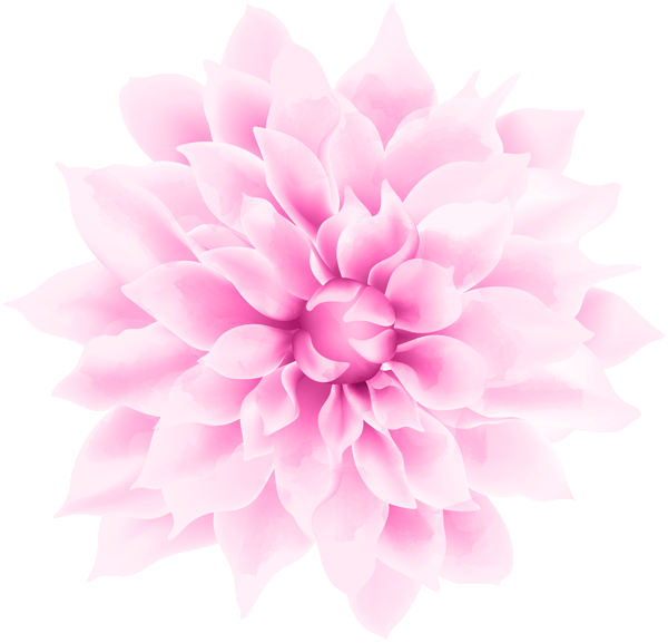 This png image - Pink White Flower PNG Clipart, is available for free download
