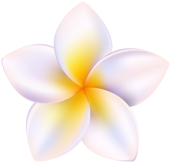 This png image - Plumeria PNG Clipart, is available for free download