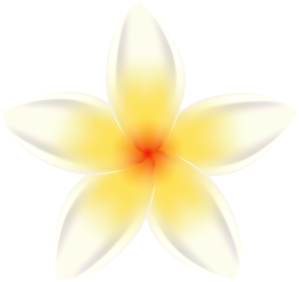 This png image - Plumeria White Flower PNG Clipart, is available for free download