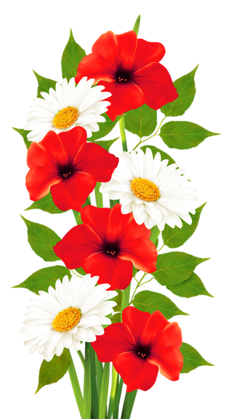 This png image - Poppies and Daisies Transparent PNG Clipart, is available for free download