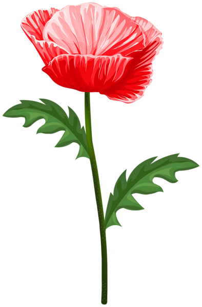 This png image - Poppy Art Transparent Image, is available for free download