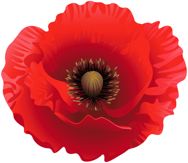 Poppy Clipart Image | Gallery Yopriceville - High-Quality Images and