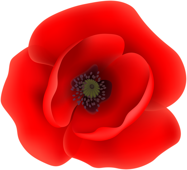 This png image - Poppy Flower Clip Art Transparent Image, is available for free download