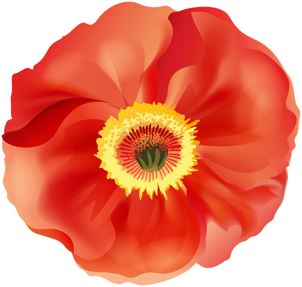 This png image - Poppy PNG Clip Art Image, is available for free download