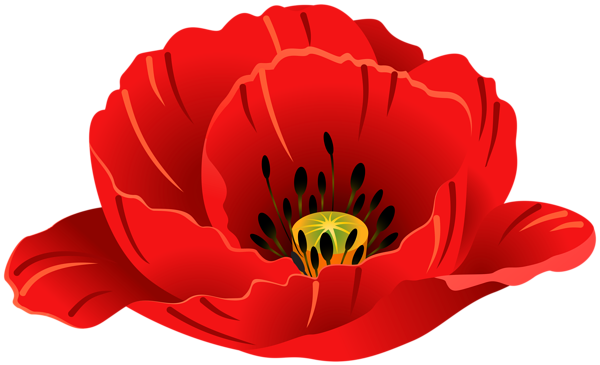 This png image - Poppy Transparent PNG Clip Art Image, is available for free download