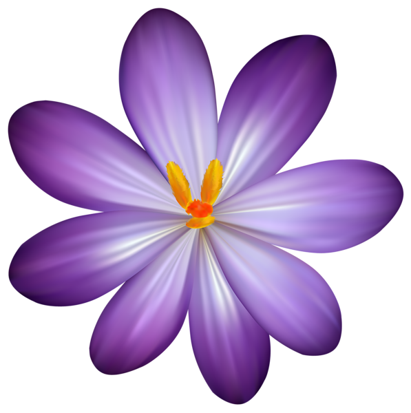 This png image - Purple Crocus Flower PNG Clipart Image, is available for free download