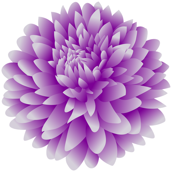 This png image - Purple Dahlia Flower PNG Clipart, is available for free download