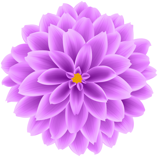 This png image - Purple Dahlia Flower Transparent Clipart, is available for free download