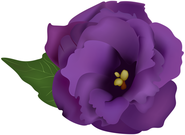 This png image - Purple FlowerPNG Transparent Clip Art Image, is available for free download