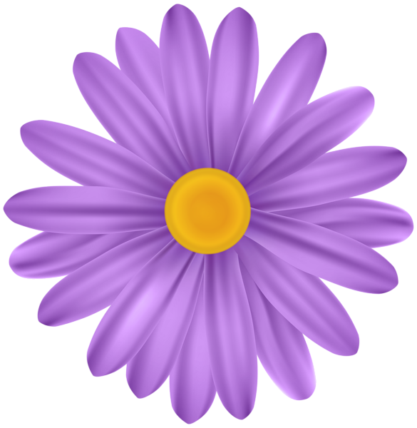 Purple Flower Daisy PNG Transparent Clipart | Gallery Yopriceville ...