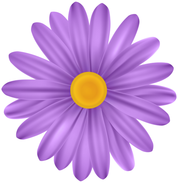 This png image - Purple Flower Daisy PNG Transparent Clipart, is available for free download