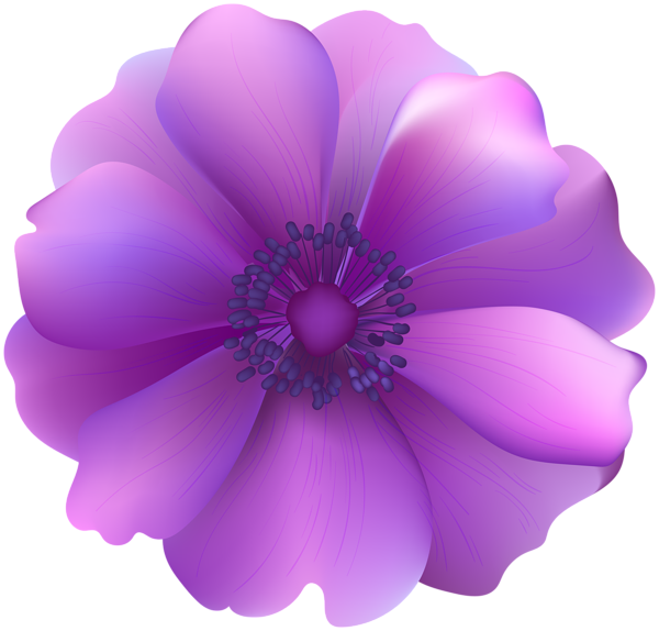 Purple Flower Decorative Transparent Clip Art | Gallery ...