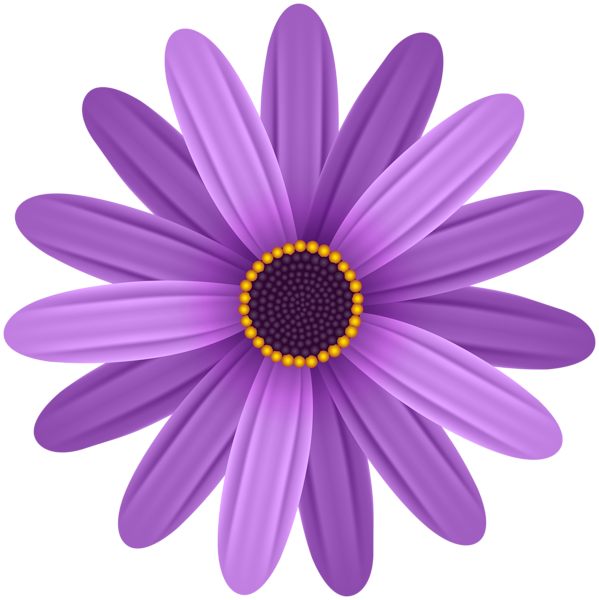 This png image - Purple Flower Transparent PNG Clip Art Image, is available for free download