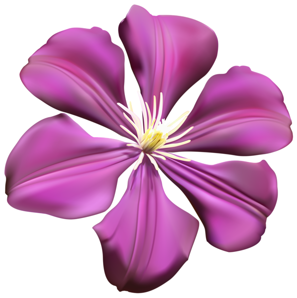 Purple Flower Transparent PNG Clip Art Image | Gallery ...