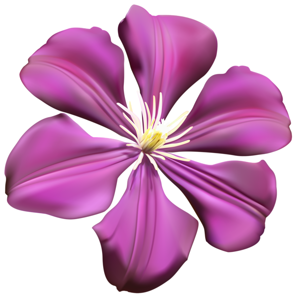 This png image - Purple Flower Transparent PNG Clip Art Image, is available for free download