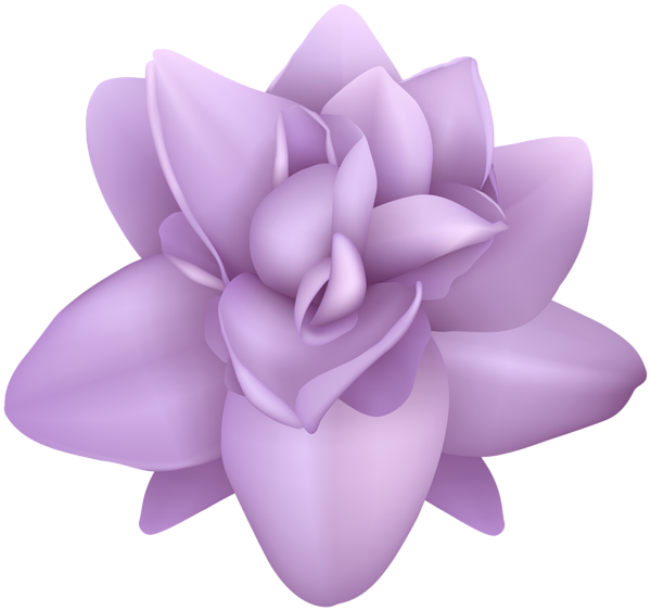 This png image - Purple Flower Transparent PNG Image, is available for free download