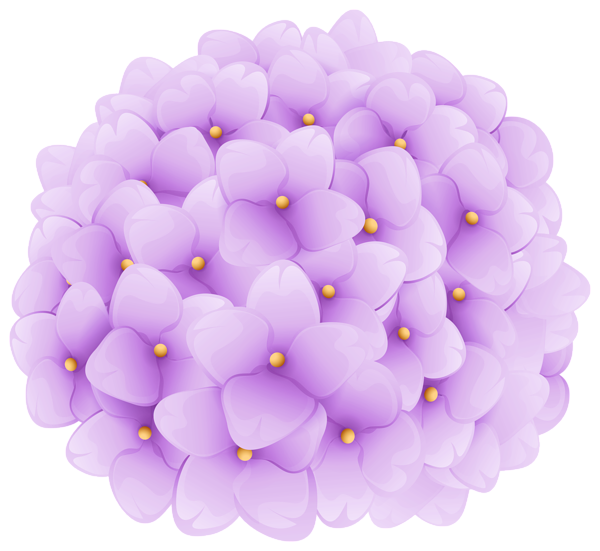 This png image - Purple Hortensia Transparent Image, is available for free download