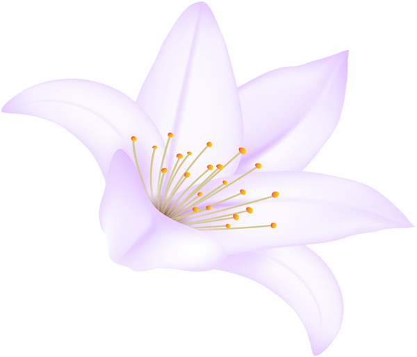 This png image - Purple Lilium Flower PNG Clipart, is available for free download