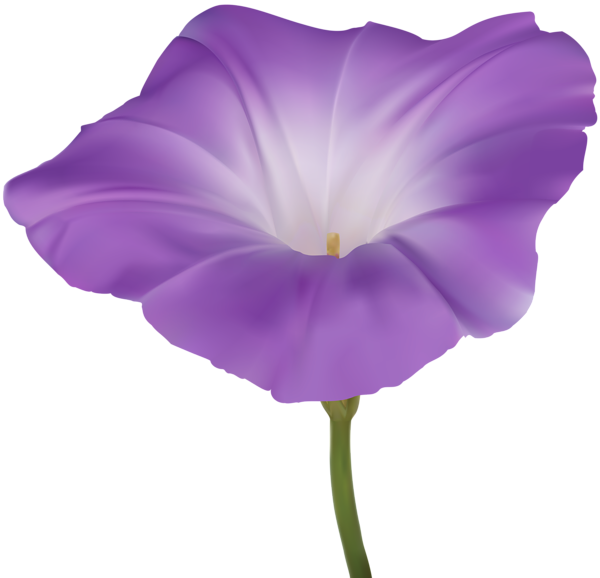 This png image - Purple Morning Glory Flower PNG Clip Art Image, is available for free download