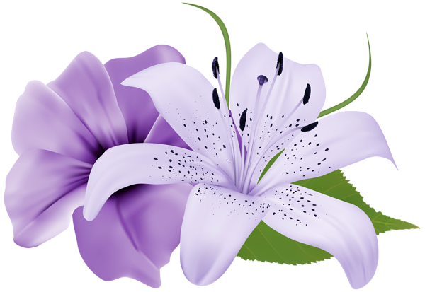 This png image - Purple Two Exotic Flowers PNG Clipart Image, is available for free download