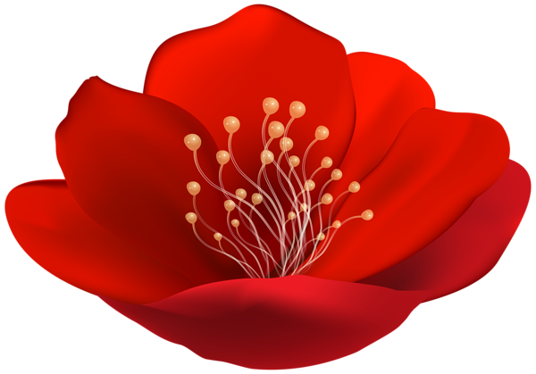 This png image - Red Beautiful Flower PNG Transparent Clipart, is available for free download