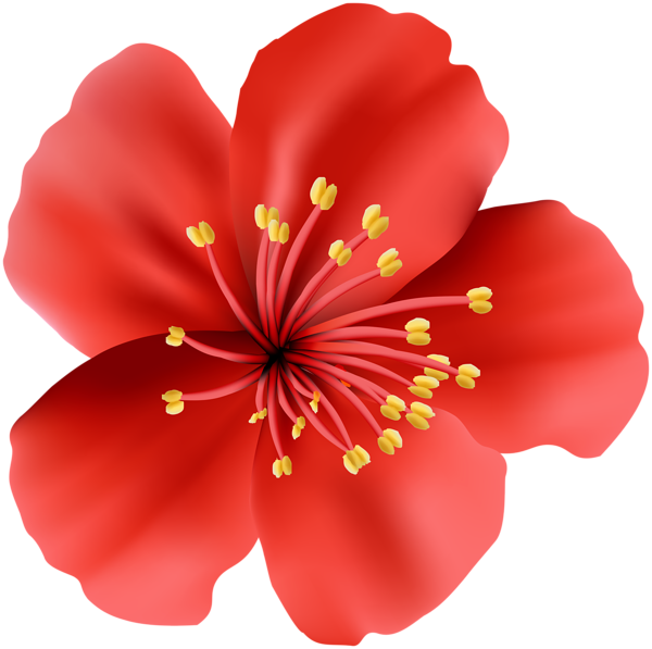 This png image - Red Flower Clip Art Image, is available for free download