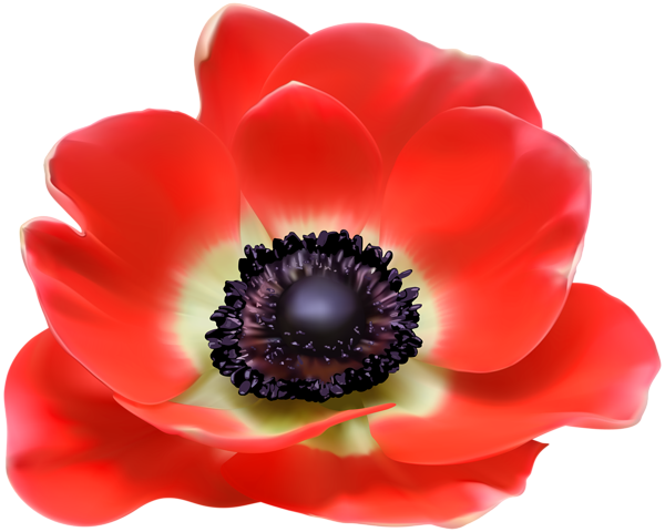 This png image - Red Flower PNG Clip Art Image, is available for free download