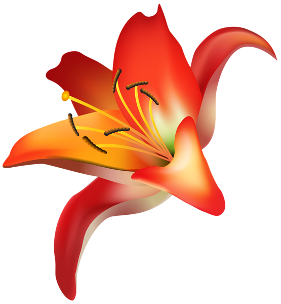This png image - Red Flower PNG Clip Art Transparent Image, is available for free download