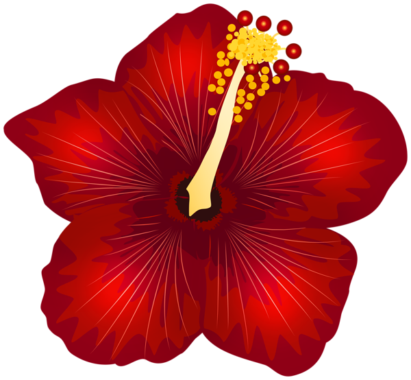 This png image - Red Flower PNG Clipart, is available for free download