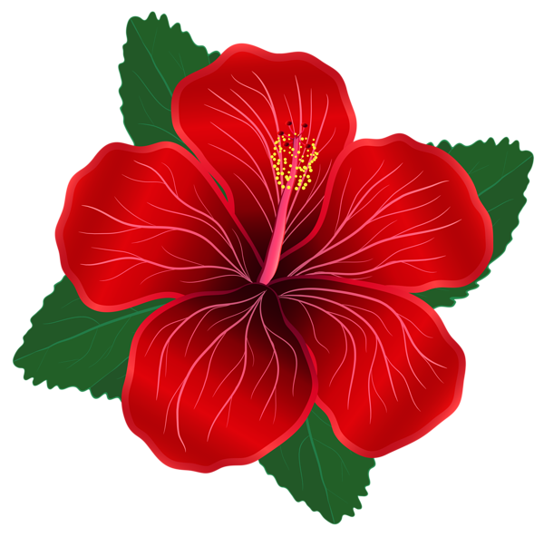 This png image - Red Flower PNG Clipart Image, is available for free download