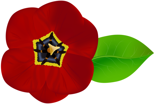 Red Flower PNG Image | Gallery Yopriceville - High-Quality Images and