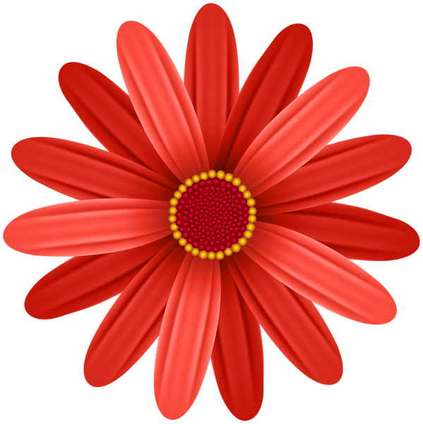 This png image - Red Flower Transparent PNG Clip Art Image, is available for free download