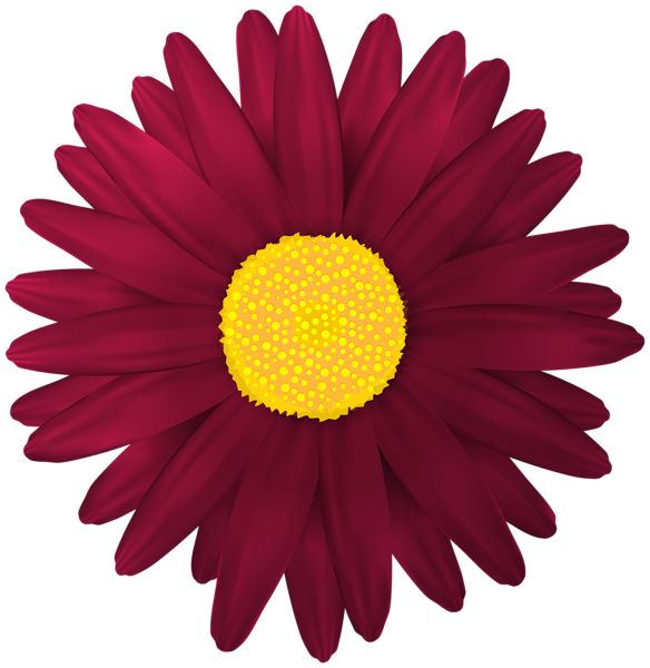 This png image - Red Flower Transparent PNG Clip Art Image, is available for free download