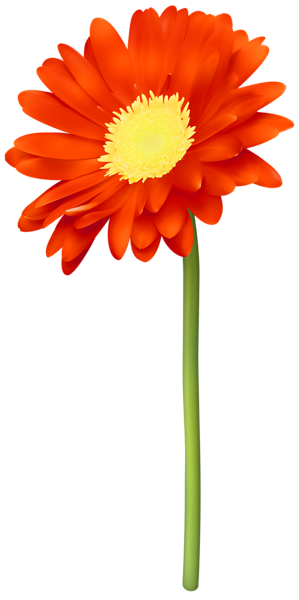 This png image - Red Gerber Daisy PNG Transparent Clipart, is available for free download