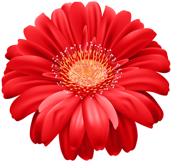 This png image - Red Gerber Flower PNG Transparent Clipart, is available for free download