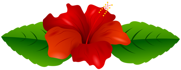 This png image - Red Hibiscus Transparent PNG Clip Art Image, is available for free download