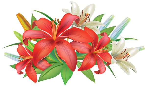 This png image - Red Lilies Flowers Decoration PNG Clipart Image, is available for free download