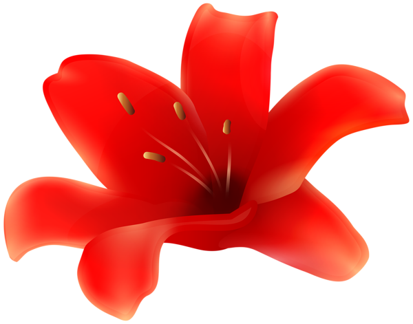 This png image - Red Lily Flower PNG Transparent Clipart, is available for free download