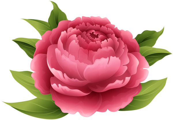 This png image - Red Peony PNG Clip Art Image, is available for free download