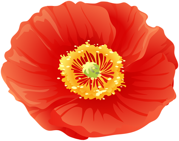 This png image - Red Poppy Flower Clip Art, is available for free download