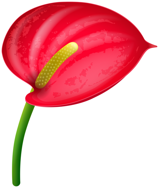This png image - Red Tropical Flower PNG Clipart, is available for free download