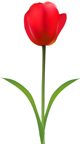 This png image - Red Tulip Transparent Clip Art Image, is available for free download