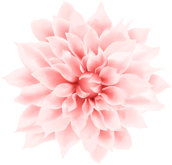 This png image - Red White Flower PNG Clipart, is available for free download
