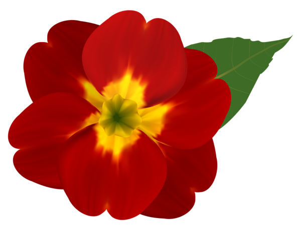 This png image - Red and Yellow Flower PNG Clipart Image, is available for free download