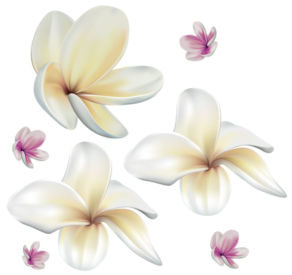 This png image - Soft Exotic Flowers PNG Clip Art Image, is available for free download
