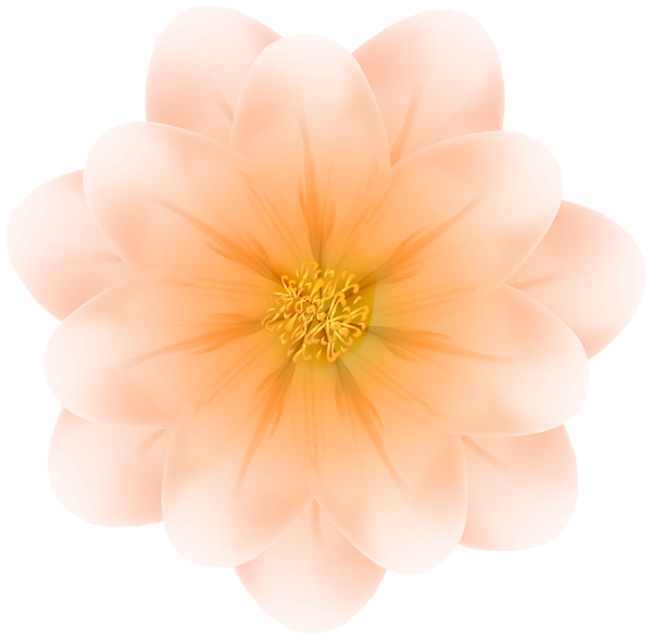 This png image - Soft Orange Flower PNG Transparent Clipart, is available for free download