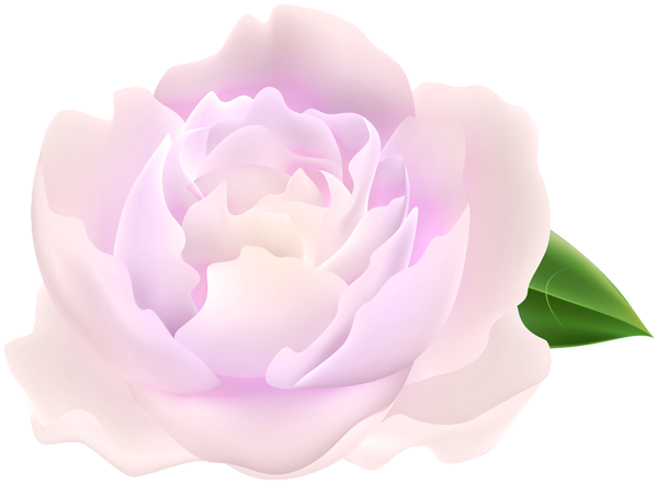 This png image - Soft Pink Peony PNG Clipart, is available for free download