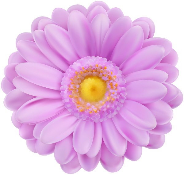 This png image - Soft Purple Flower Transparent PNG Clip Art, is available for free download