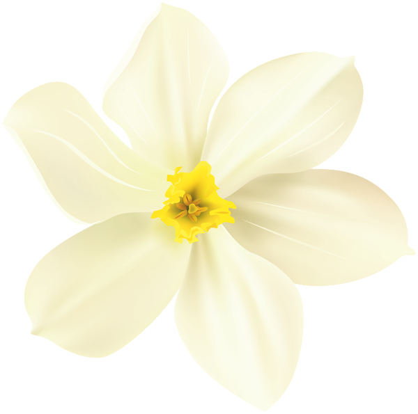 This png image - Spring Flower Decorative Transparent Image, is available for free download