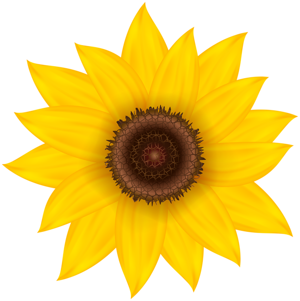This png image - Sunflower Deco PNG Clip Art Image, is available for free download